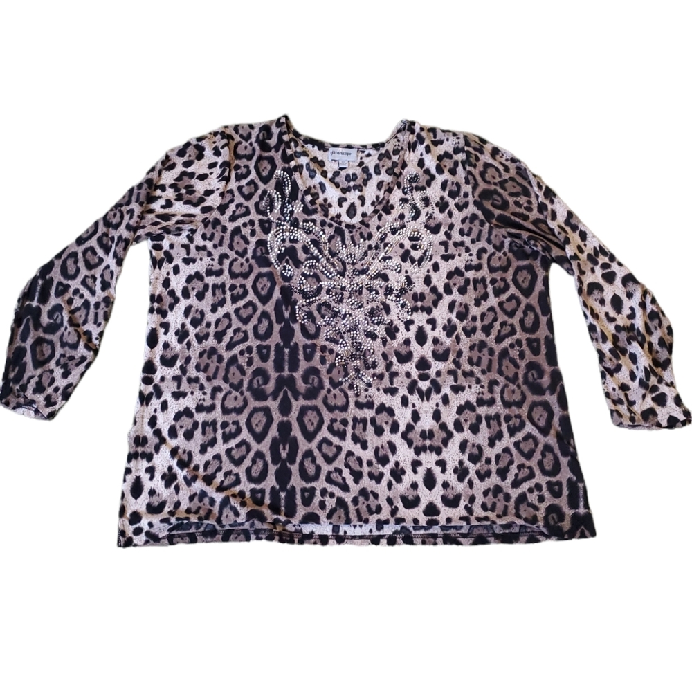 Nice Leopard Print top 2X
